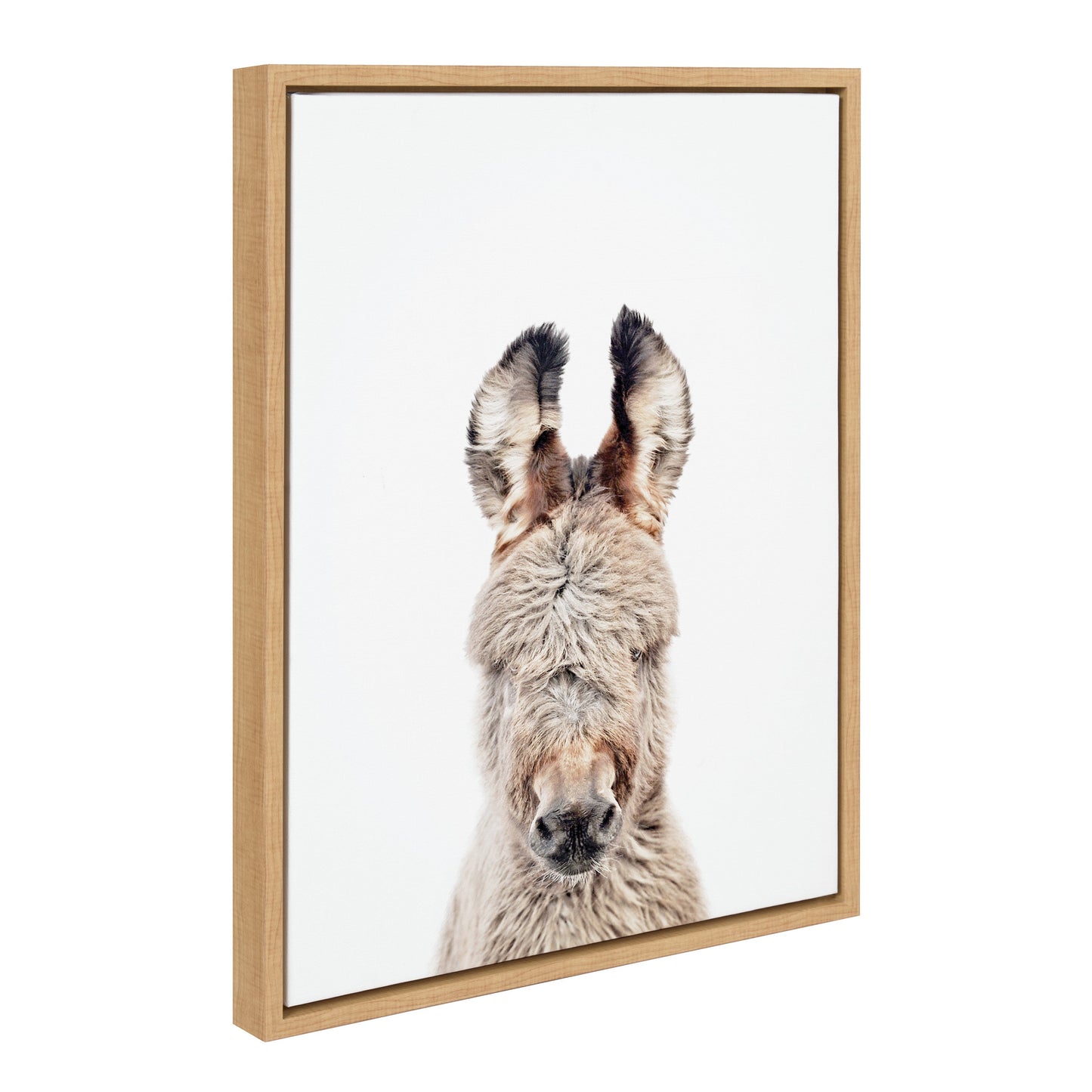 Donkey Portrait Framed Canvas Wall Art, Farmhouse Decor