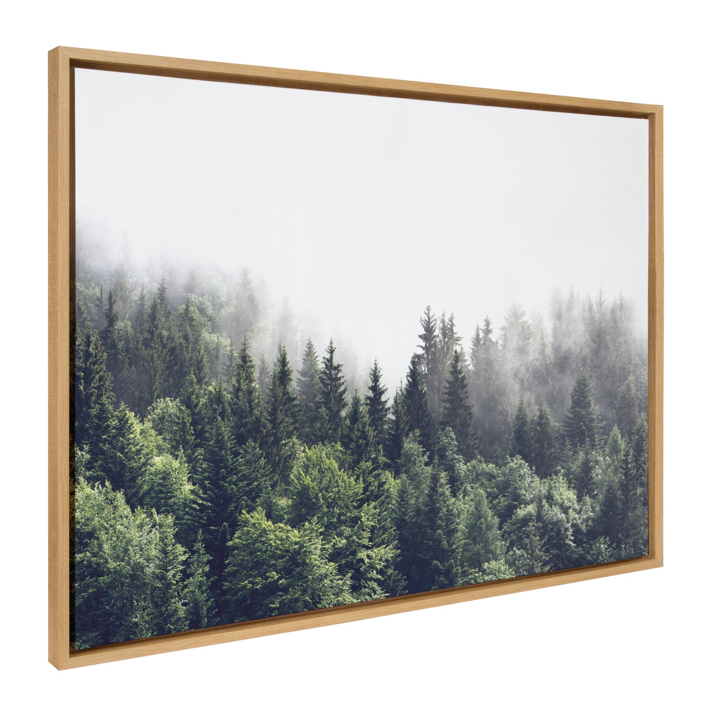 Lush green forest on a foggy day framed canvas wall art