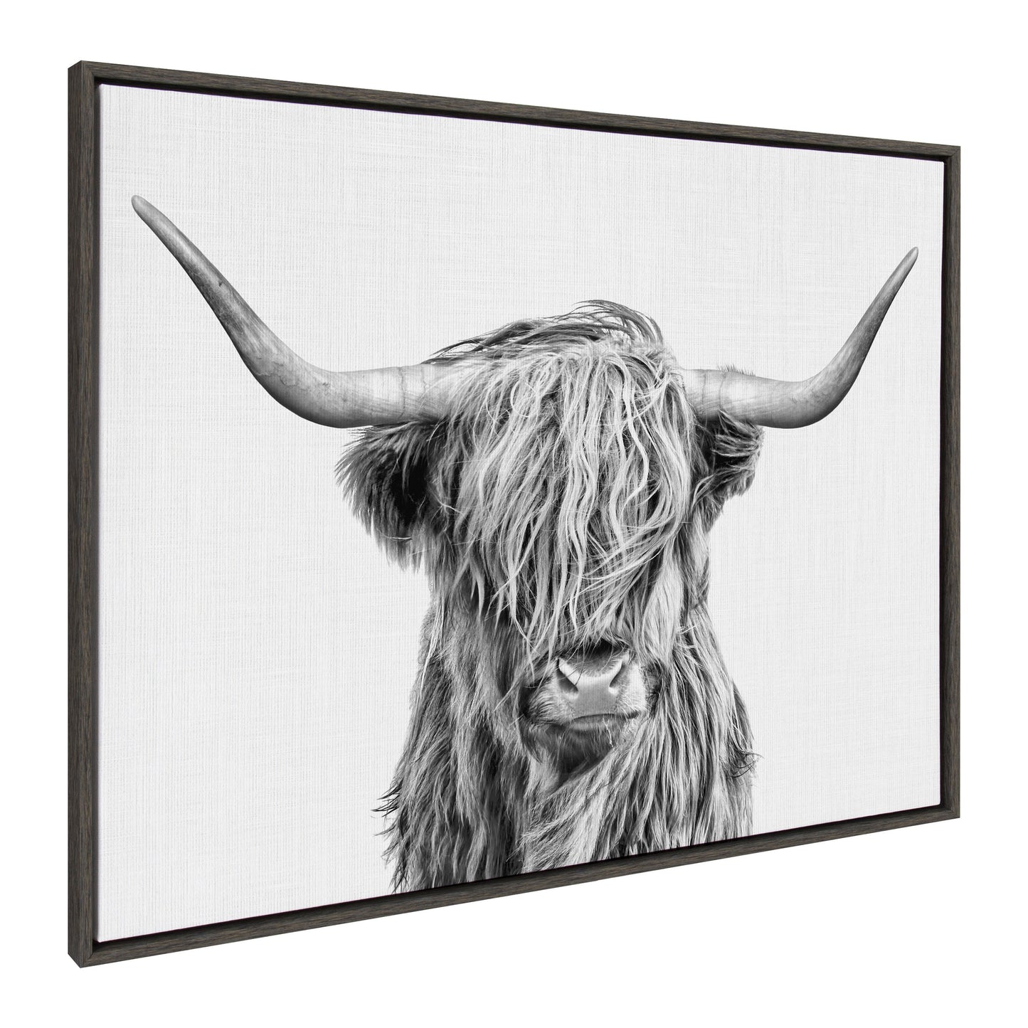 Highland Cow Framed Canvas Wall Art