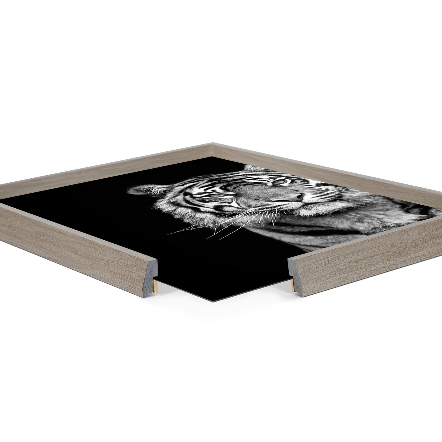 Minimalist Tiger Glass Wall Art