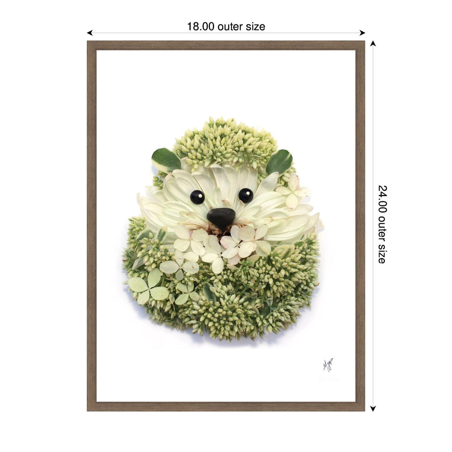 Hedgehog Framed Canvas Wall Art