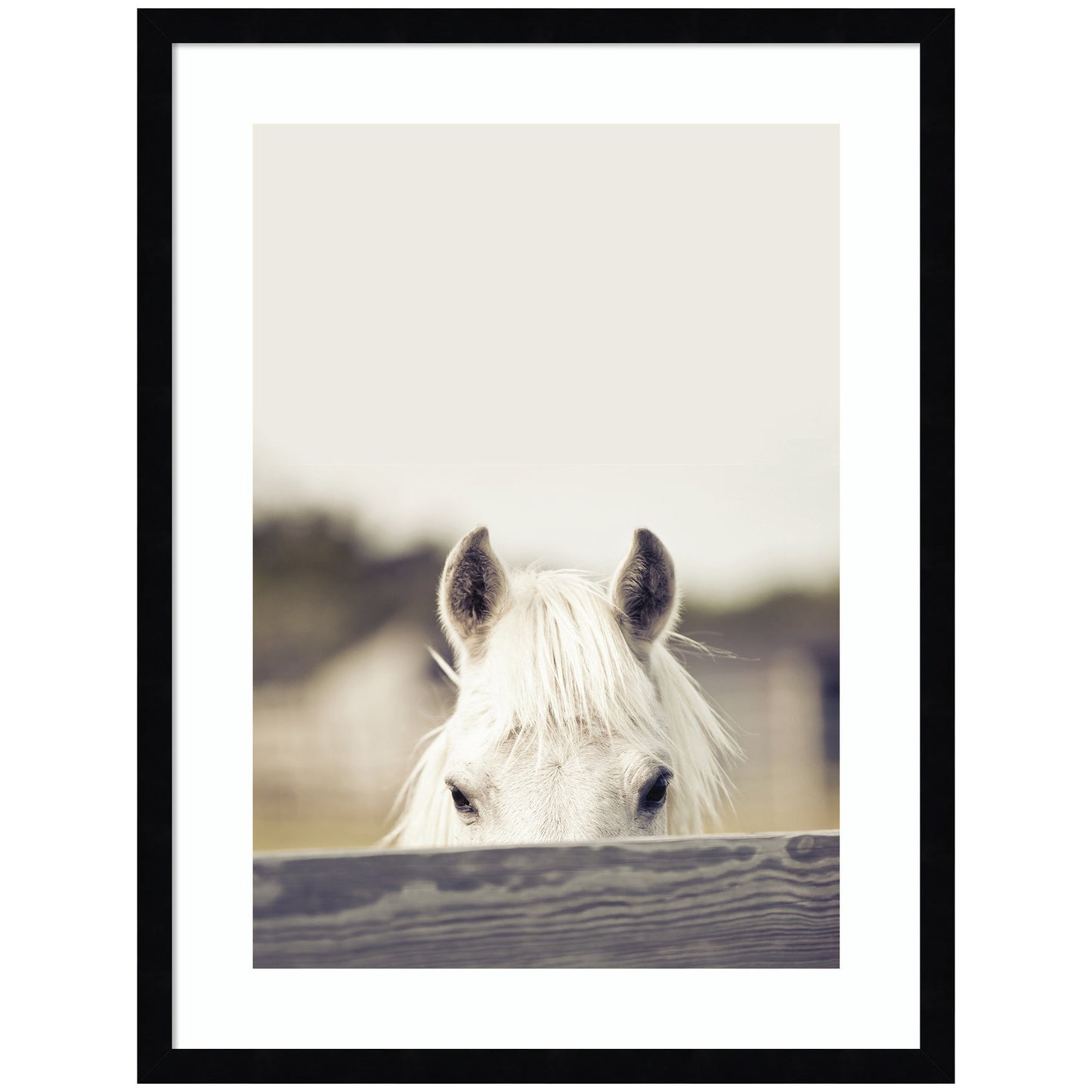 Graceful horse framed giclee wall art print for equestrian decor