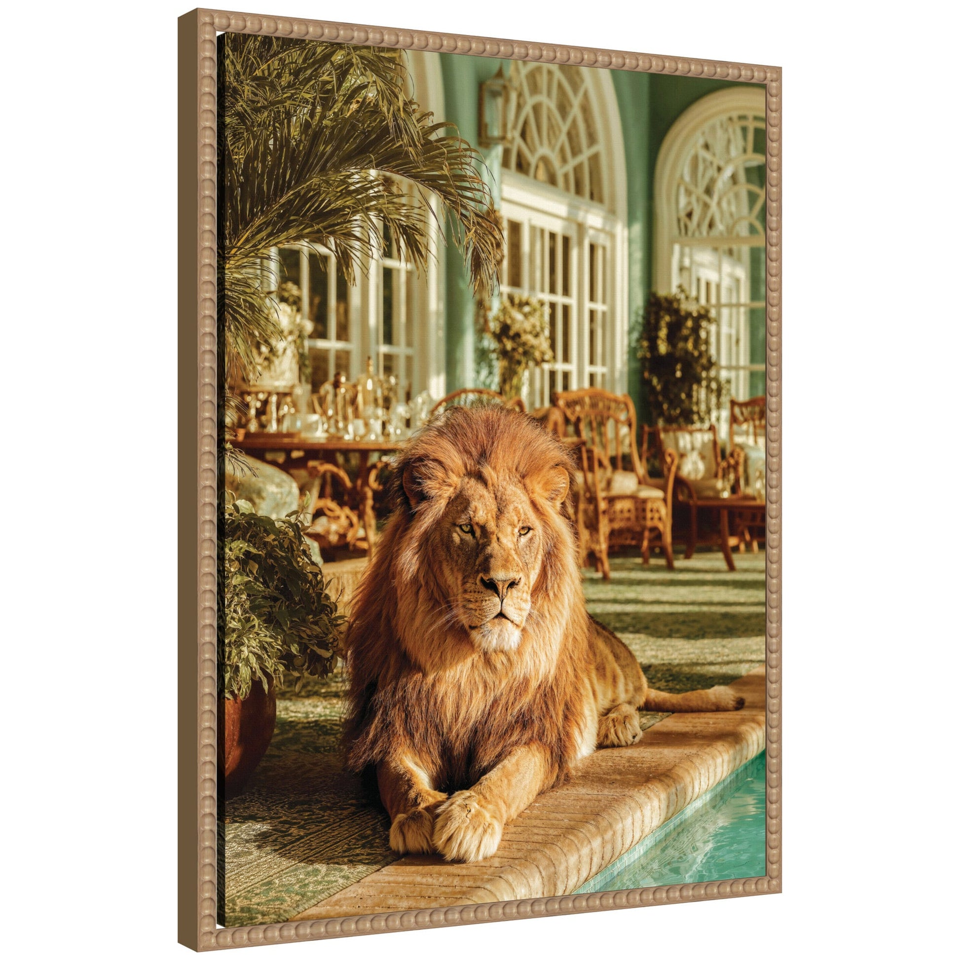 Funny majestic lion by the pool framed canvas wall art