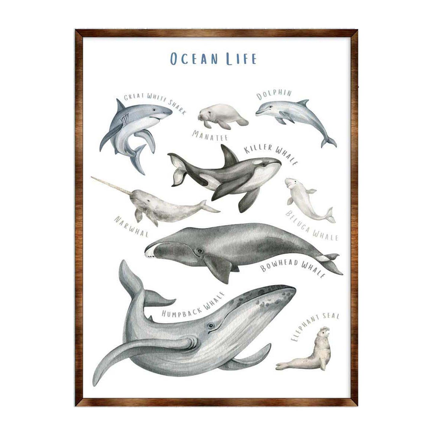 Ocean animals wooden kids room educational wall art poster