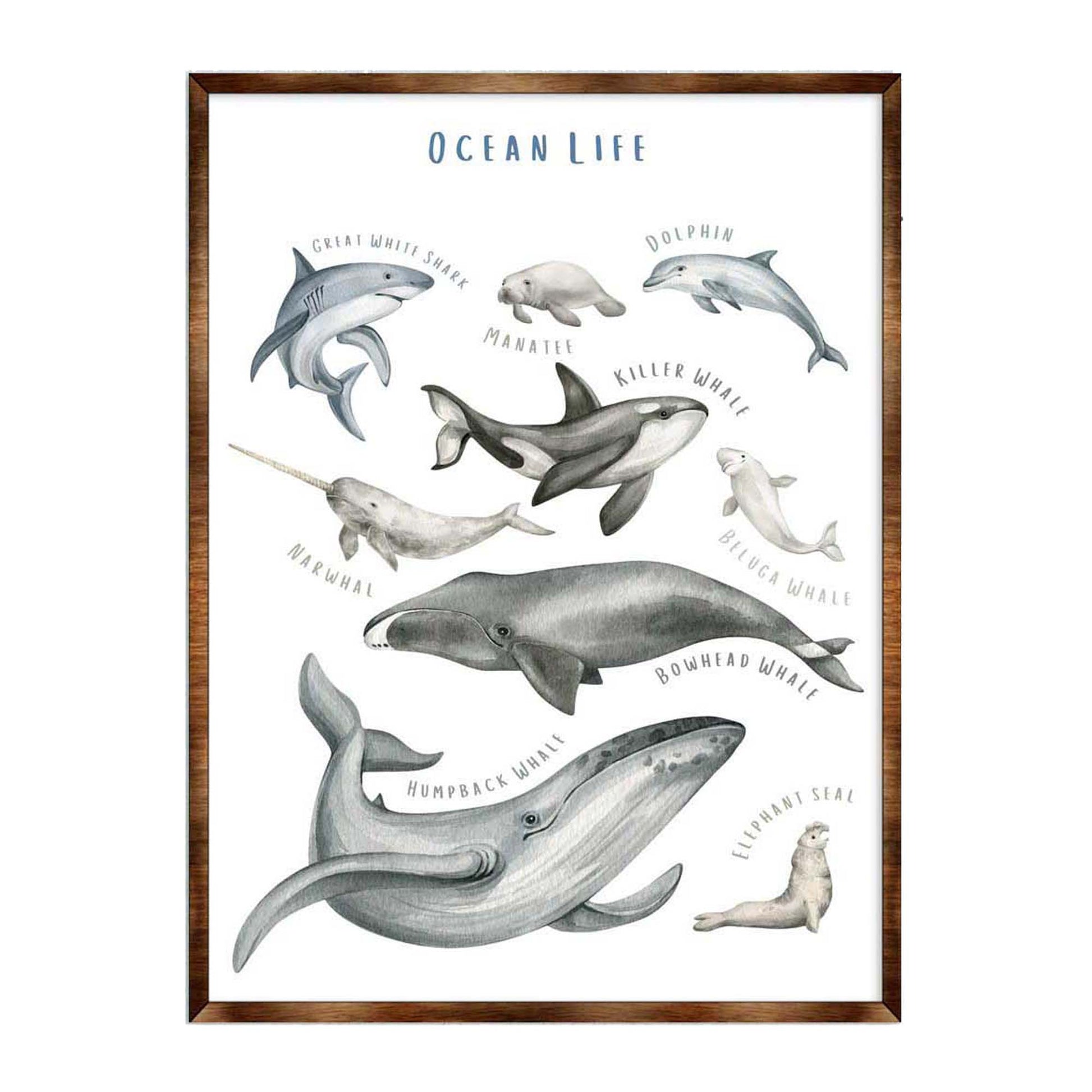 Ocean animals wooden kids room educational wall art poster