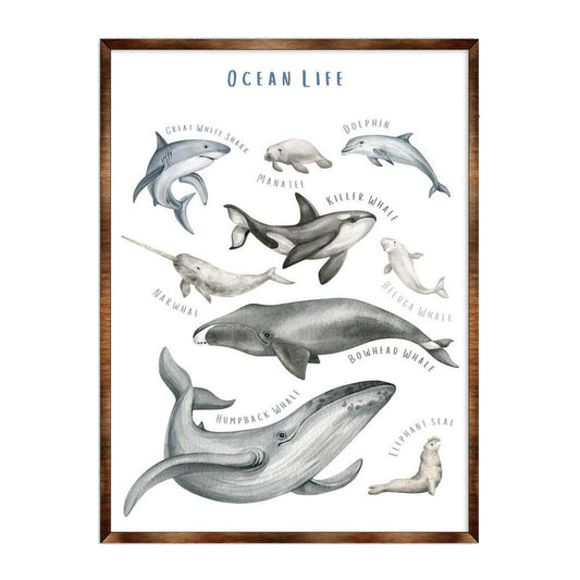 Ocean animals wooden kids room educational wall art poster