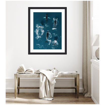 Framed Art School of Humpback Whales in the Blue Ocean by Michael Schauer
