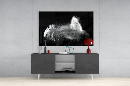 White Feather Glass Wall Art
