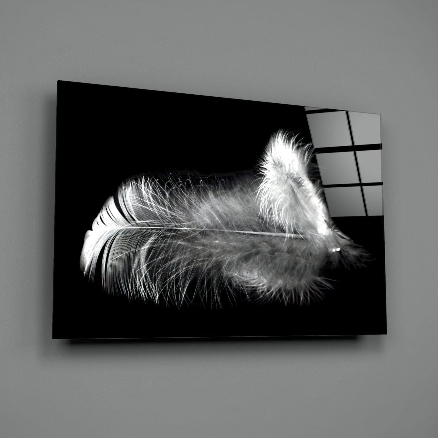 White Feather Glass Wall Art