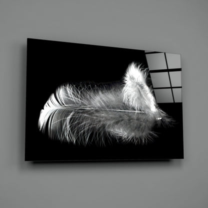 White Feather Glass Wall Art