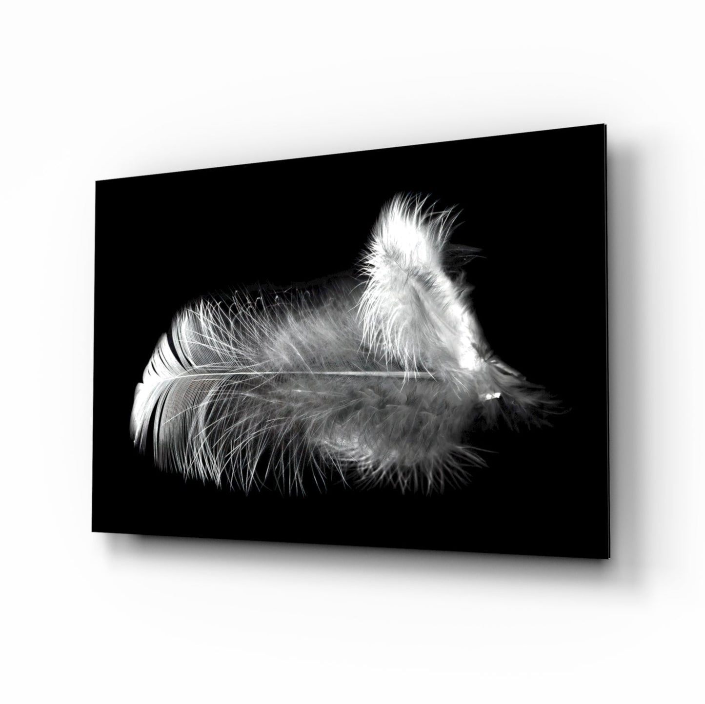 White Feather Glass Wall Art