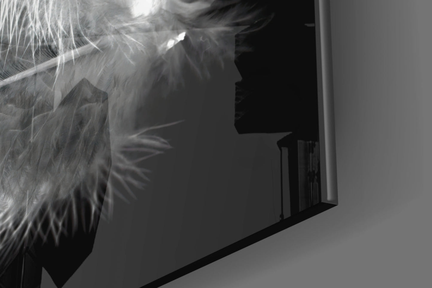 White Feather Glass Wall Art