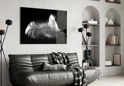White Feather Glass Wall Art