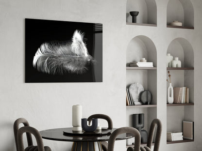 White Feather Glass Wall Art