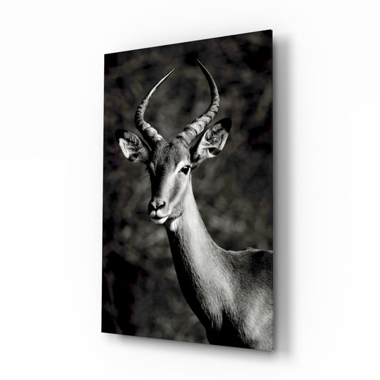 Impala Wildlife Portrait Glass Wall Art
