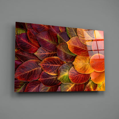 Orange Autumn Leaves Glass Wall Art