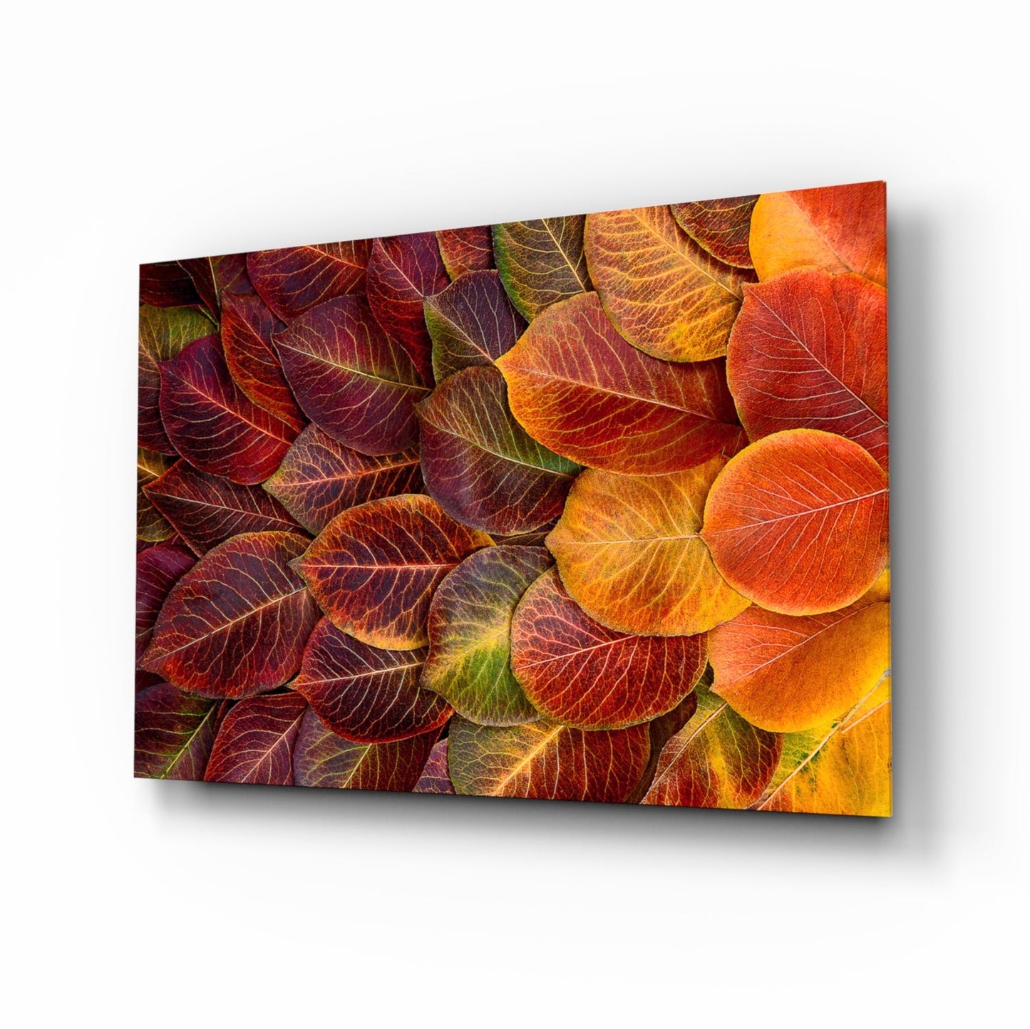 Orange Autumn Leaves Glass Wall Art