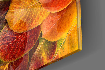 Orange Autumn Leaves Glass Wall Art