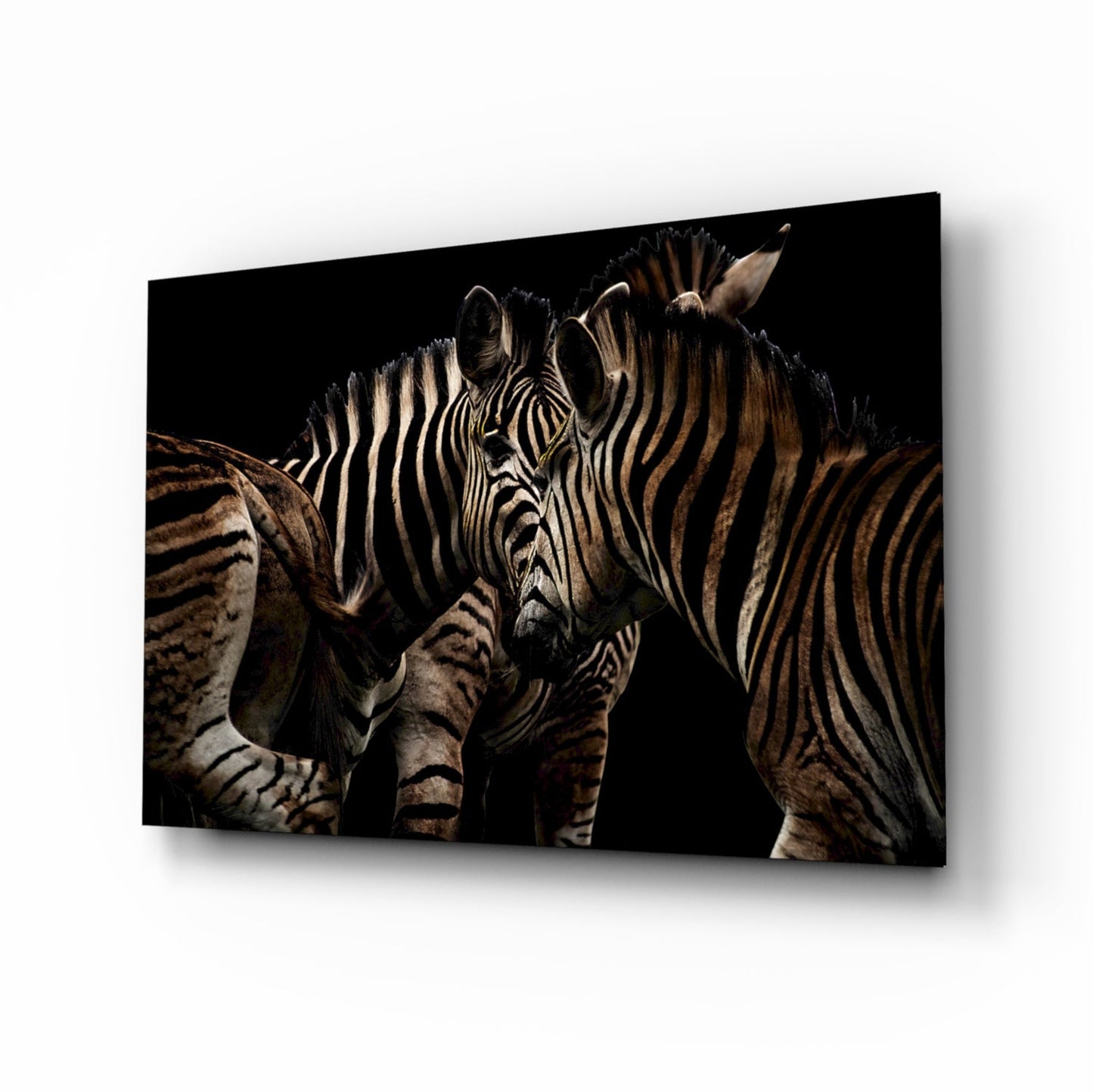Zebra Glass Wall Art - Sepia Wildlife Portrait