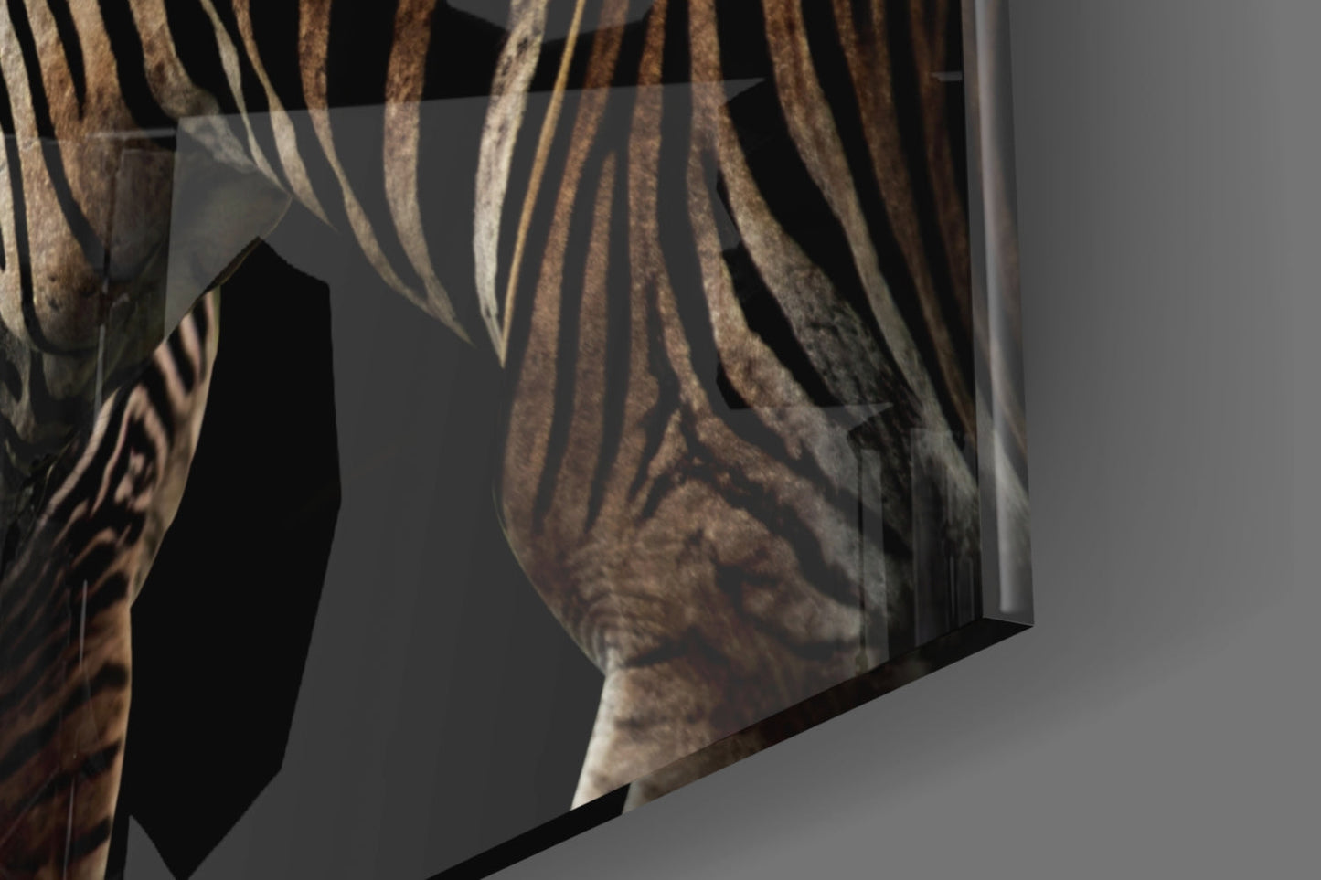 Zebra Glass Wall Art - Sepia Wildlife Portrait