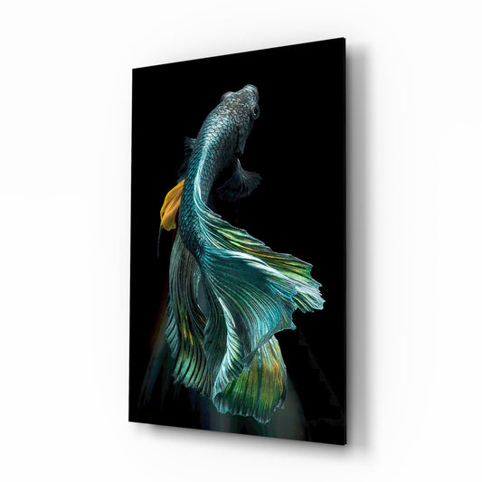 Betta Fish Glass Wall Art Aquatic Print