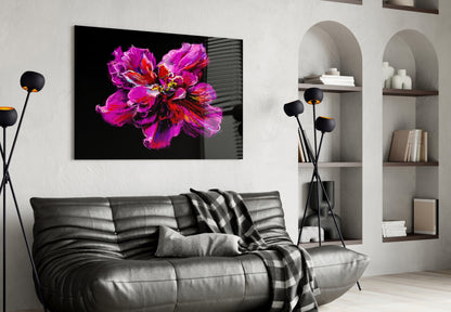 Magenta Red Painted Peony Glass Wall Art