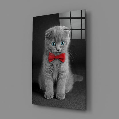 Bow-Tie Kitten Glass Wall Art