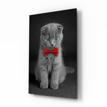 Bow-Tie Kitten Glass Wall Art