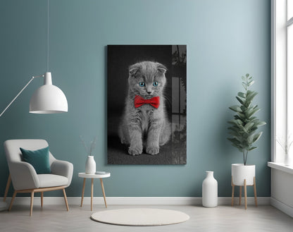 Bow-Tie Kitten Glass Wall Art