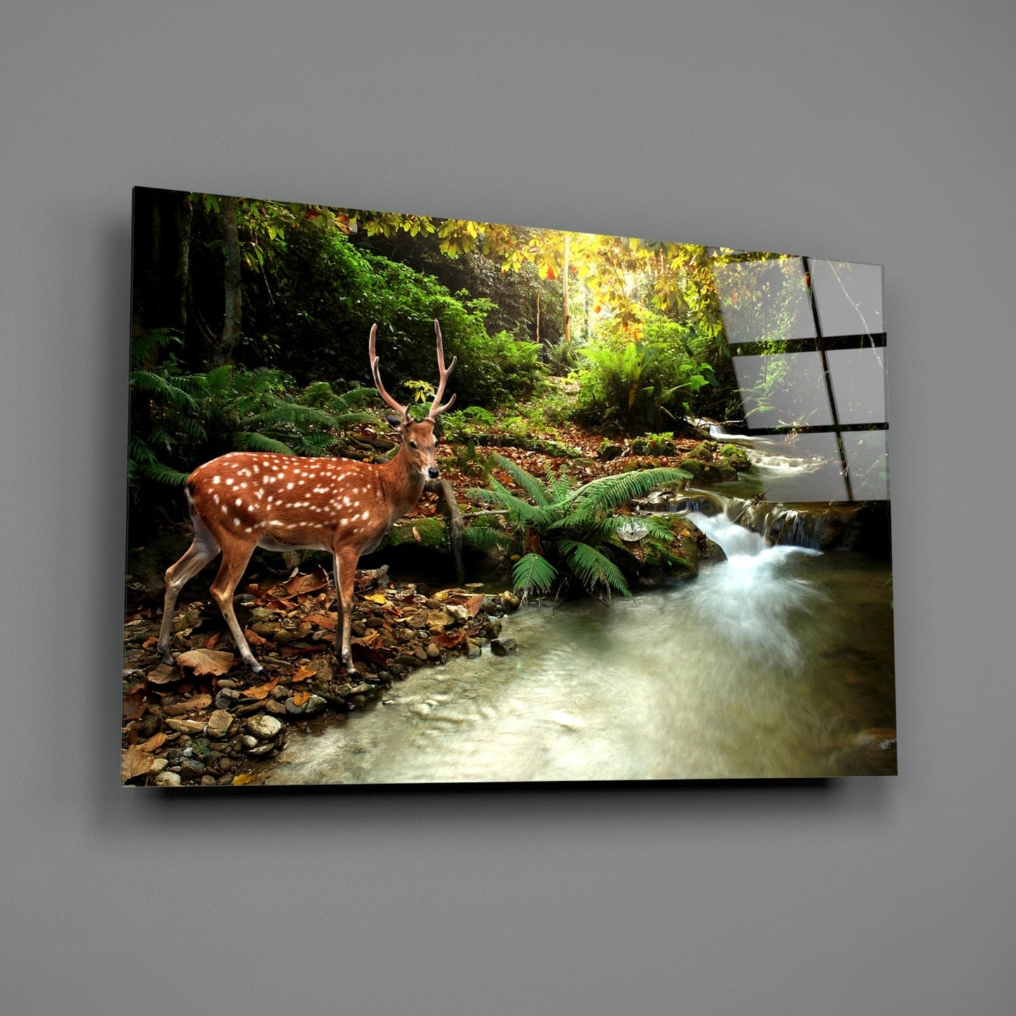 Forest Deer Glass Wall Art Woodland Stream Print