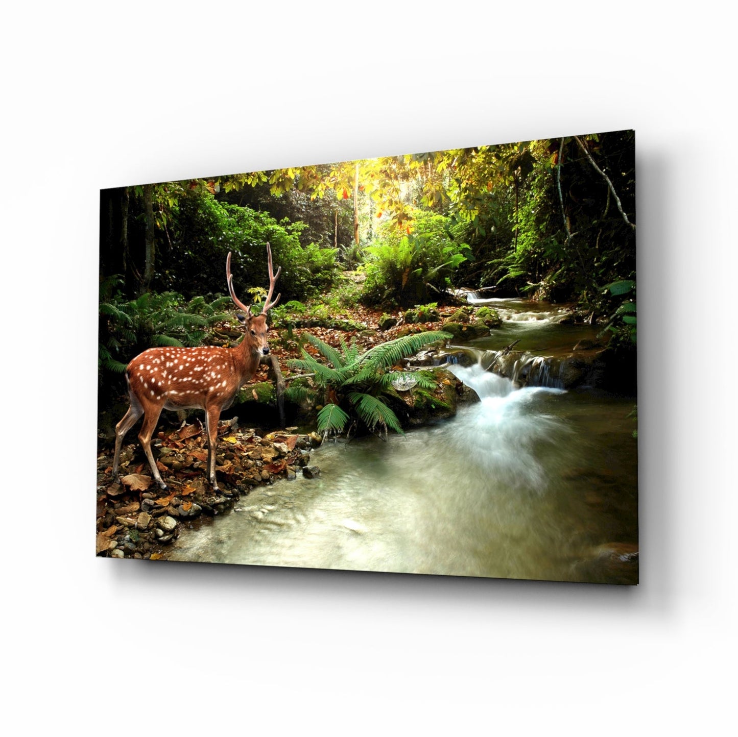 Forest Deer Glass Wall Art Woodland Stream Print