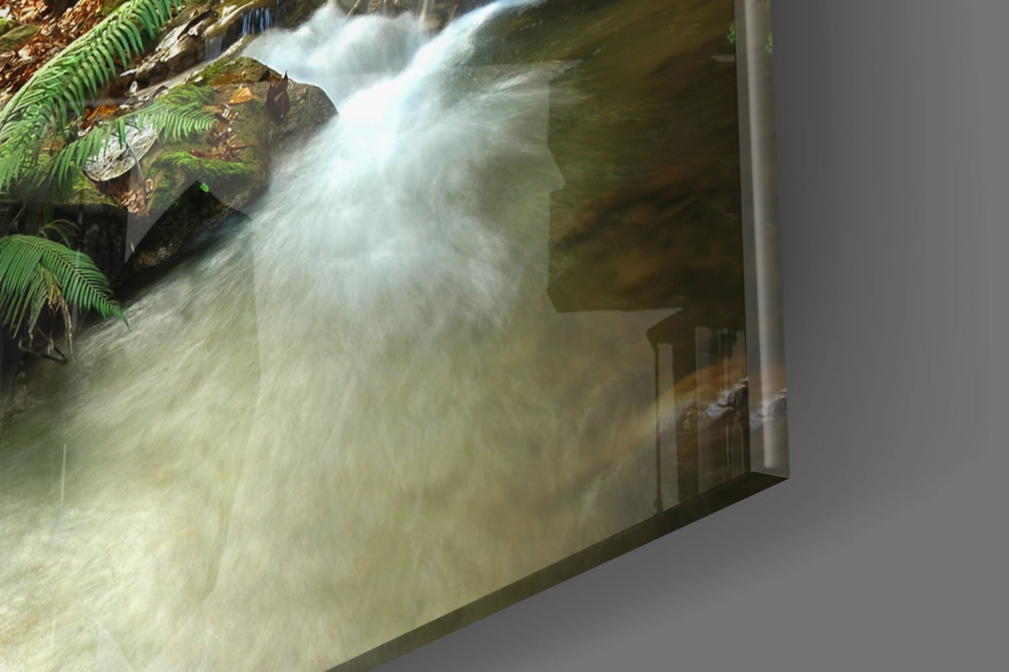 Forest Deer Glass Wall Art Woodland Stream Print