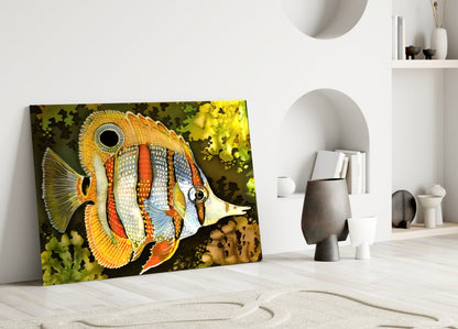 Copperband Butterflyfish Glass Wall Art