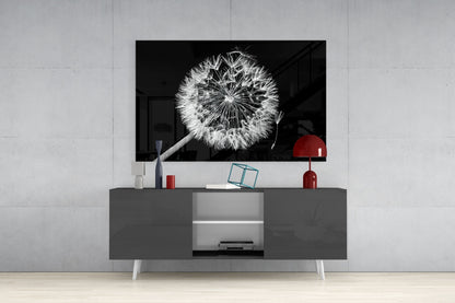 Dandelion Seeds Drifting Glass Wall Art
