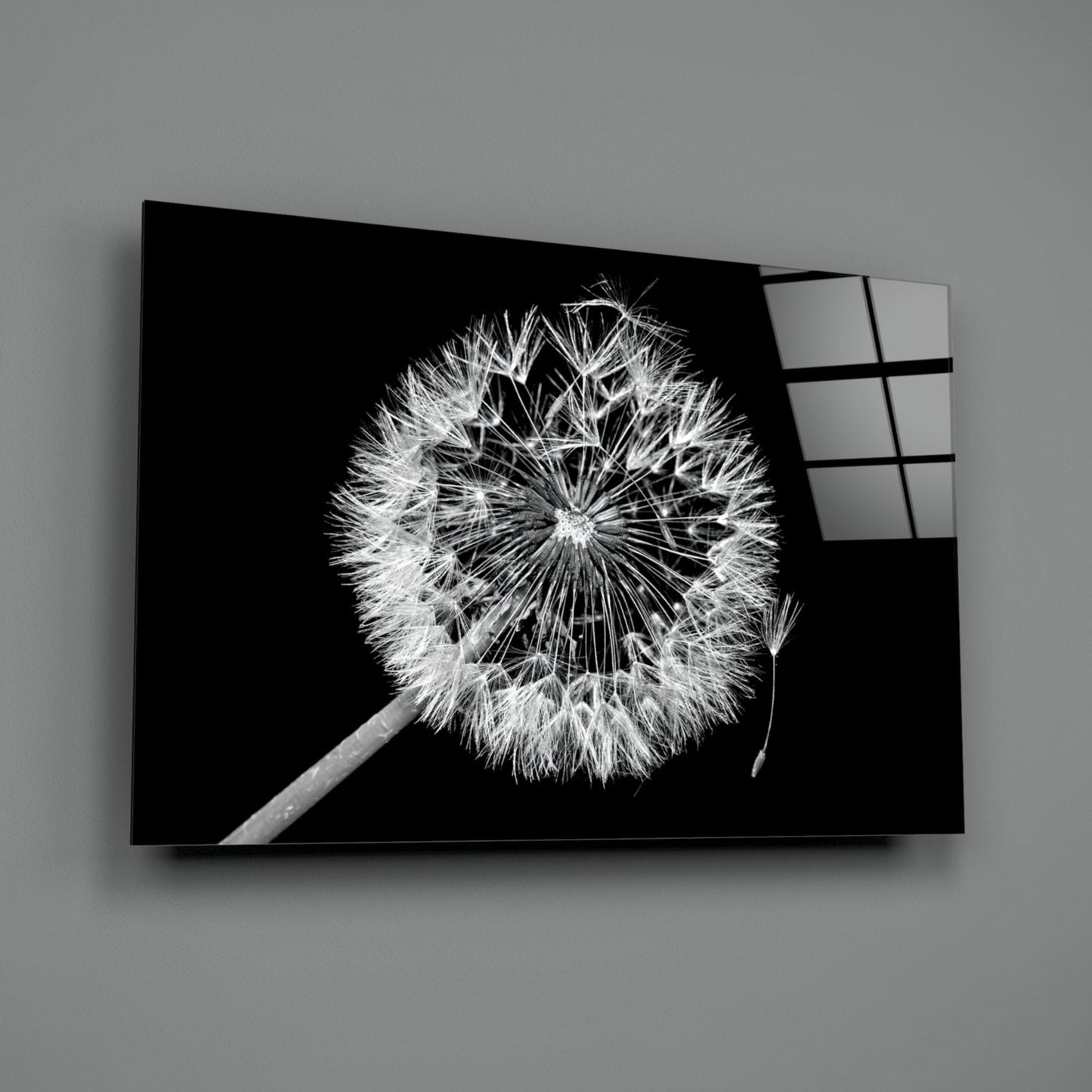 Dandelion Seeds Drifting Glass Wall Art