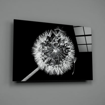 Dandelion Seeds Drifting Glass Wall Art
