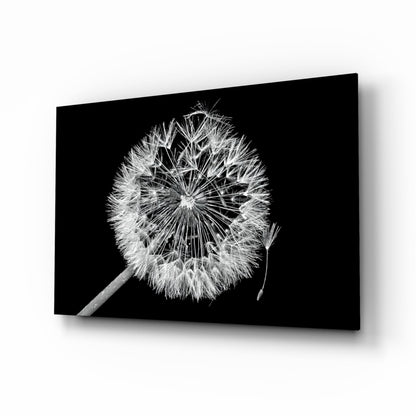 Dandelion Seeds Drifting Glass Wall Art