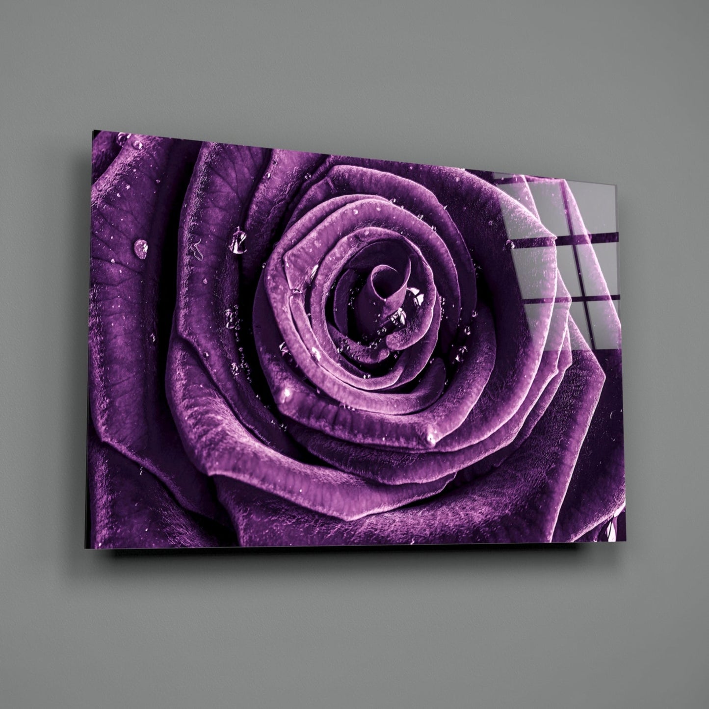 Violet Rose Spiral Glass Wall Art