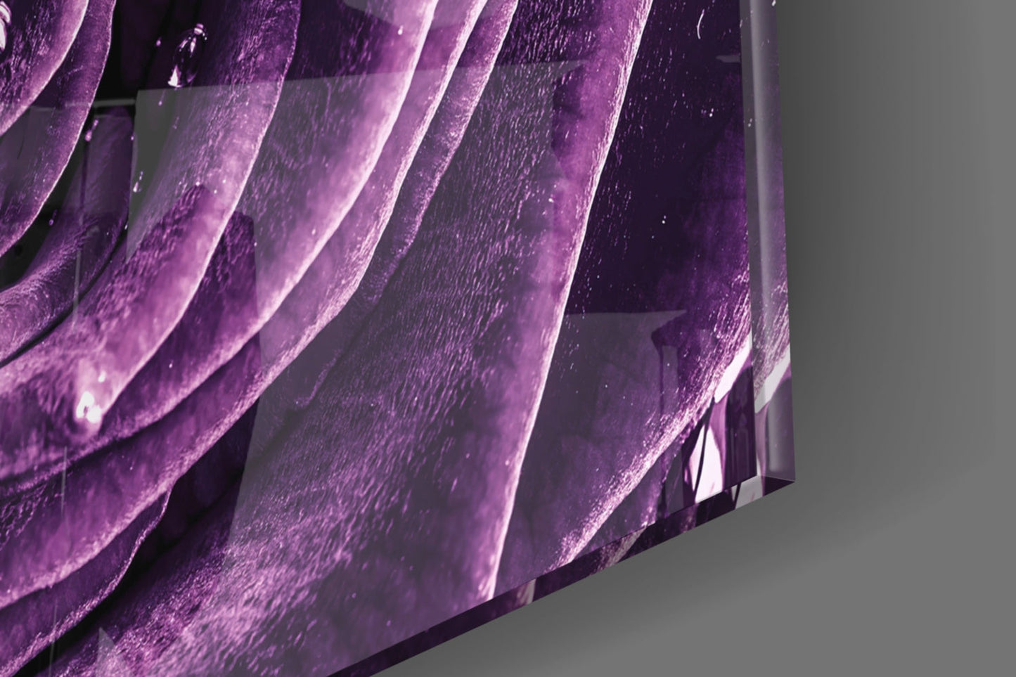 Violet Rose Spiral Glass Wall Art