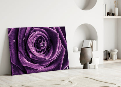 Violet Rose Spiral Glass Wall Art