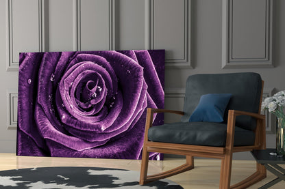 Violet Rose Spiral Glass Wall Art