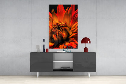 Orange Spider Dahlia Glass Wall Art