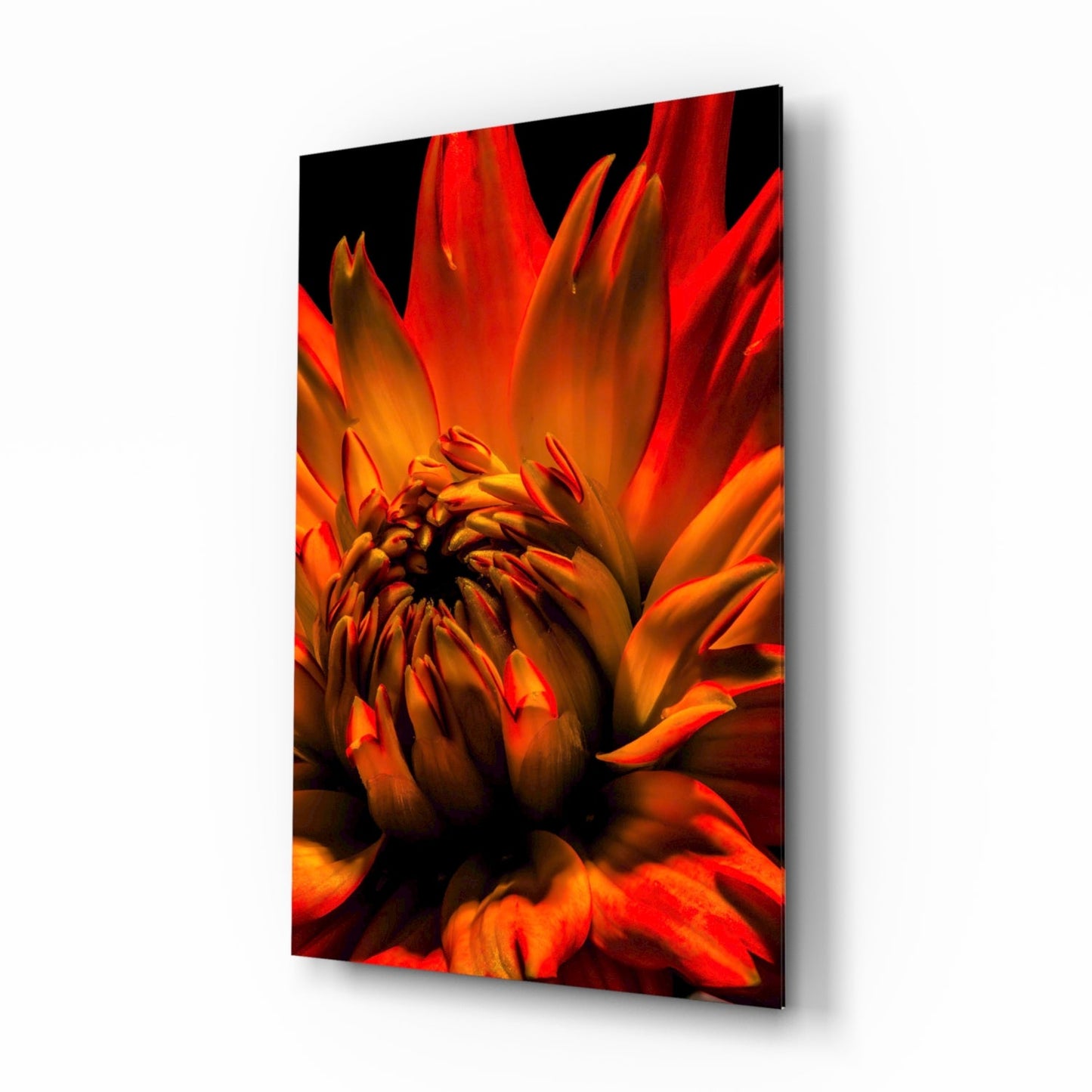 Orange Spider Dahlia Glass Wall Art