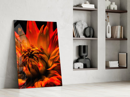 Orange Spider Dahlia Glass Wall Art