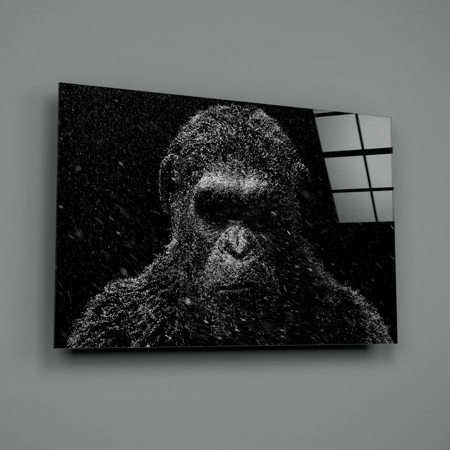 Snow Gorilla Glass Wall Art - Wildlife Photography