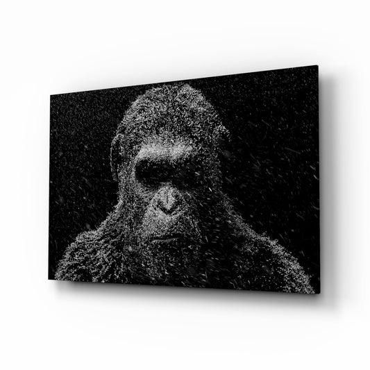 Snow Gorilla Glass Wall Art - Wildlife Photography