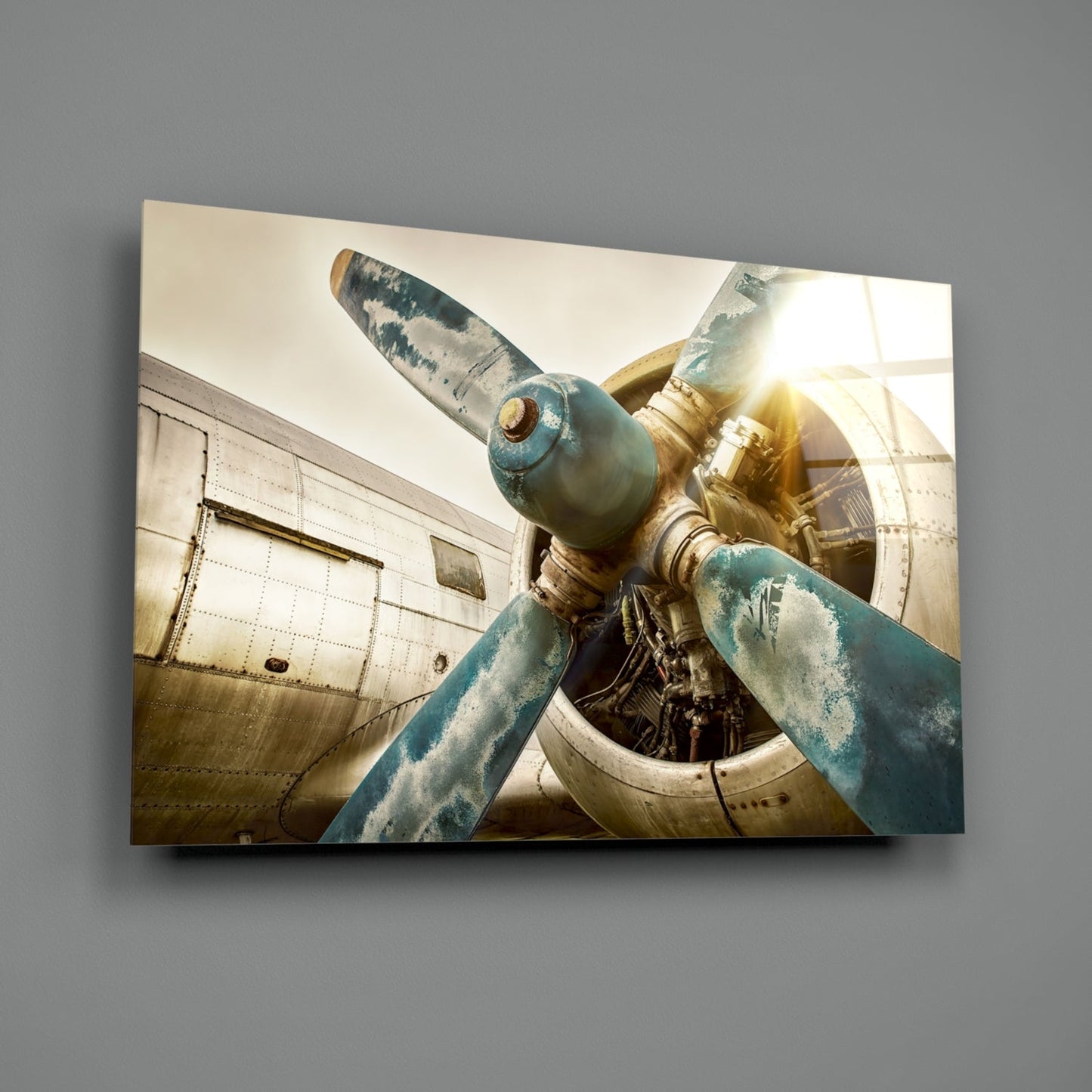 Vintage Propeller Airplane Glass Wall Art