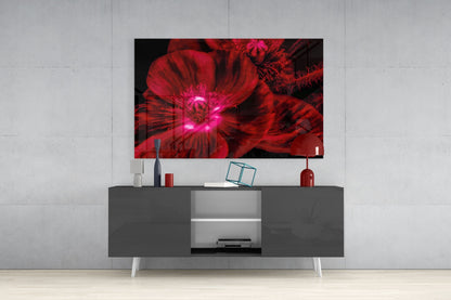 Crimson Poppy Macro Glass Wall Art