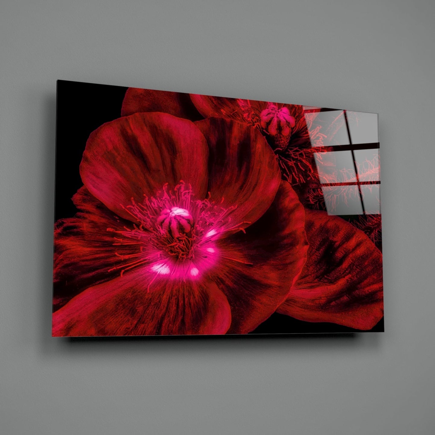Crimson Poppy Macro Glass Wall Art