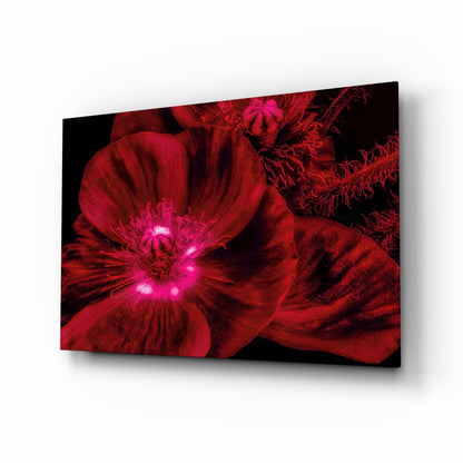 Crimson Poppy Macro Glass Wall Art